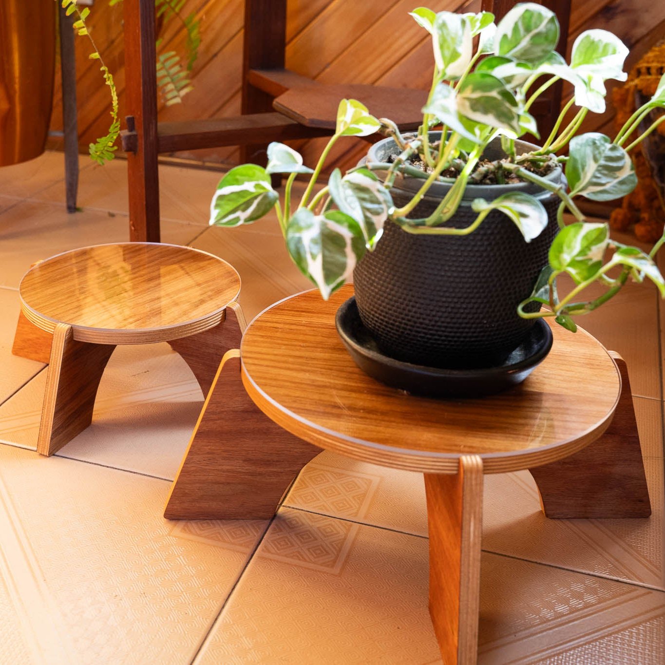 Elevate Plant Stand